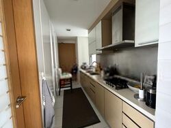 Paterson Suites (D9), Condominium #489984971